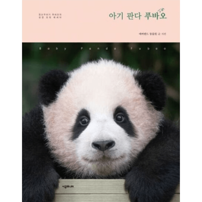 [중국에서 온 다이렉트 메일] Panda Baby Fubao 사진첩 한국어 원본 아기 판다 푸바오 Fubao 사진첩