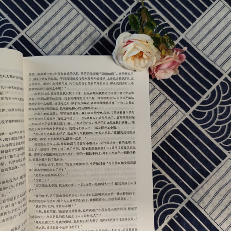 简爱/中小学生必读丛书-教育部推荐新课标同步课外阅读 3