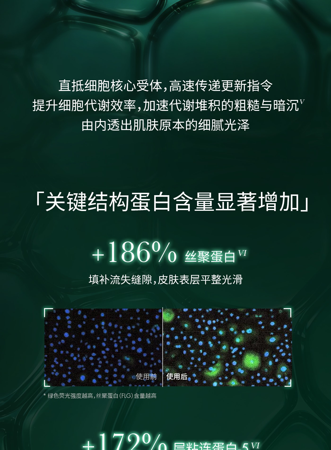 美國 ReVive 【重磅升級】RéVive瑞維斐青春煥活精華油 抗皺修護淡紋一夜回春油 30ml