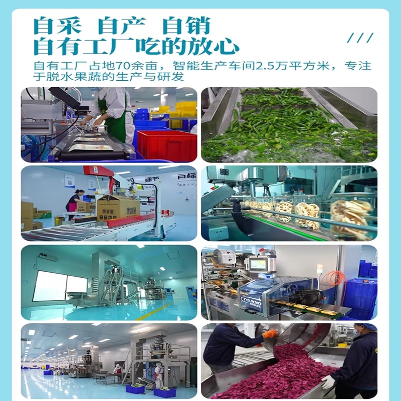 苗蔬果 什錦水果脆片菠蘿蜜果乾混合裝蔬果脆乾108g*1袋