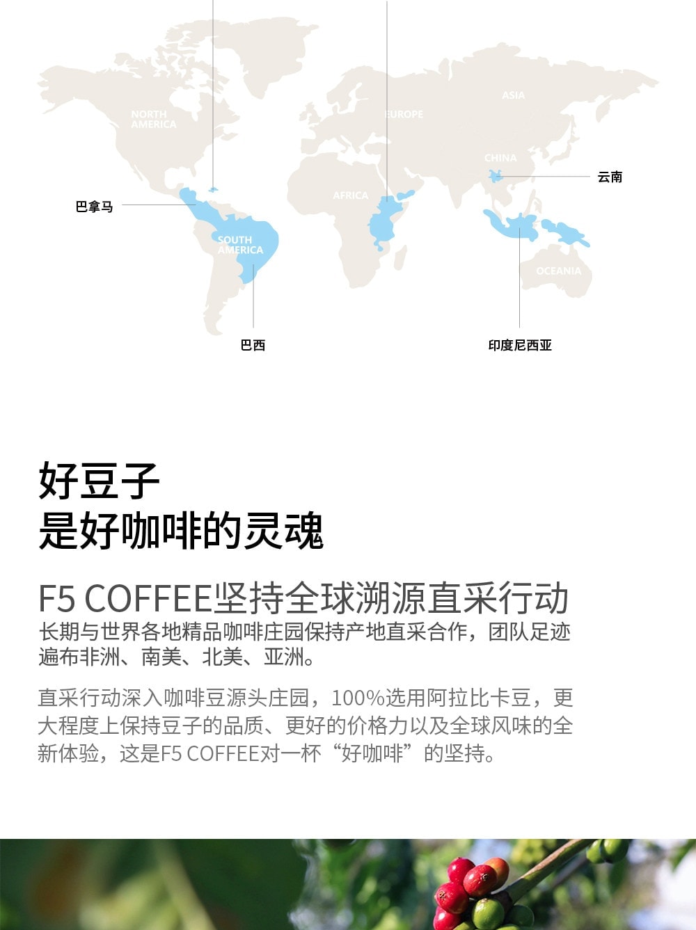 Instant Arabica Coffee 1.8g 10Packs