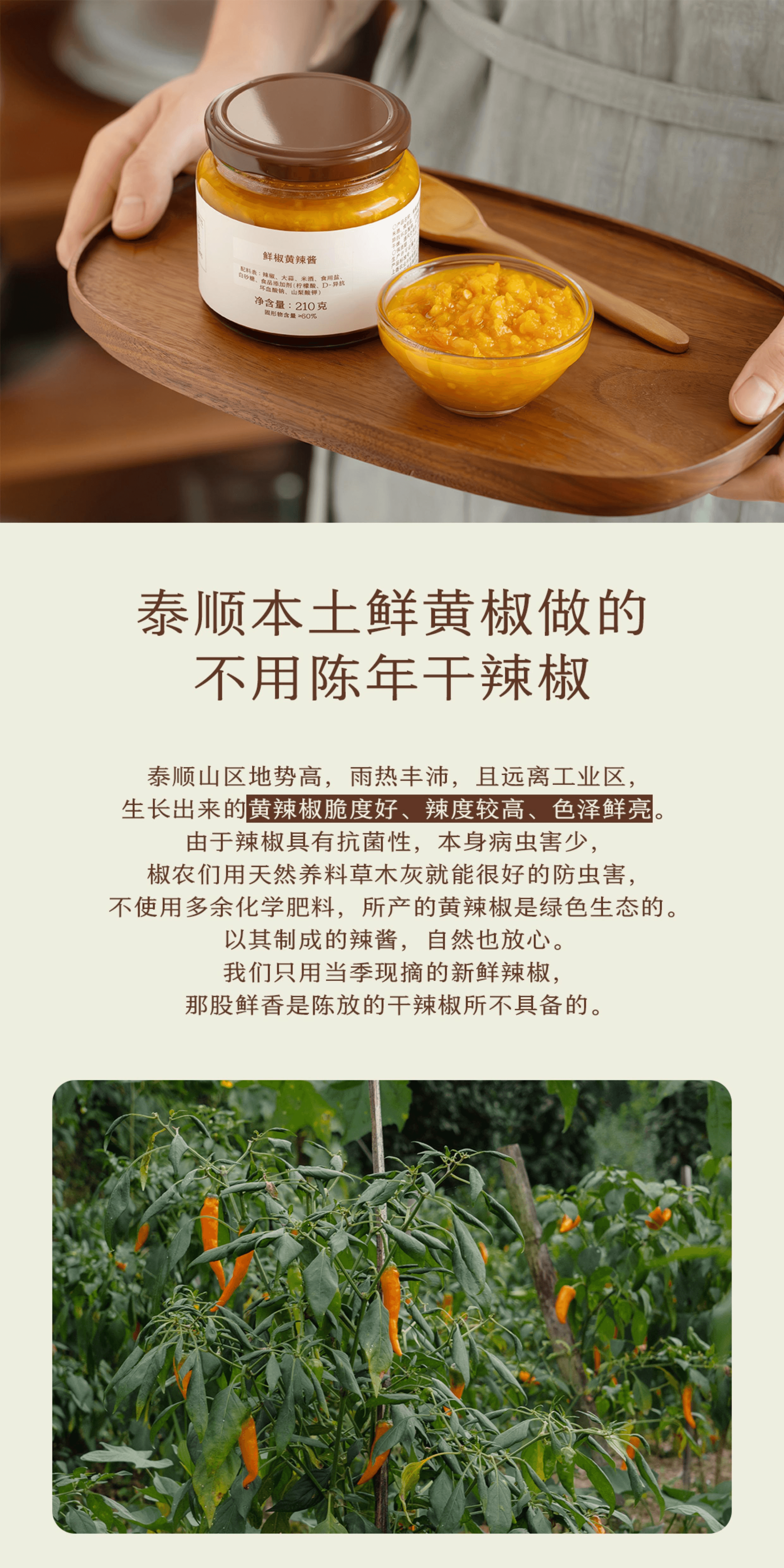 【中国直邮】 南食召 鲜椒黄辣酱当季鲜椒制作无油下饭酱拌面酱210g*1罐