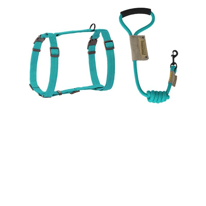 [중국 직배송] 일본산 터치독 강아지 목줄/끈 세트 - 편안한 착용감과 탈출 방지 - 블루 레이서백 스타일 - 사이즈 S