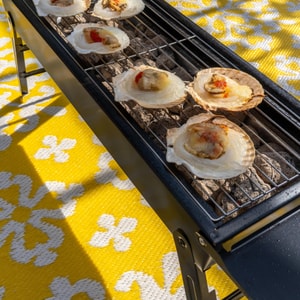 短腿烧烤炉 户外露营烧烤炉子锅具 附赠一次性签子烧烤刷夹子 长60cm宽22.5cm高32cm