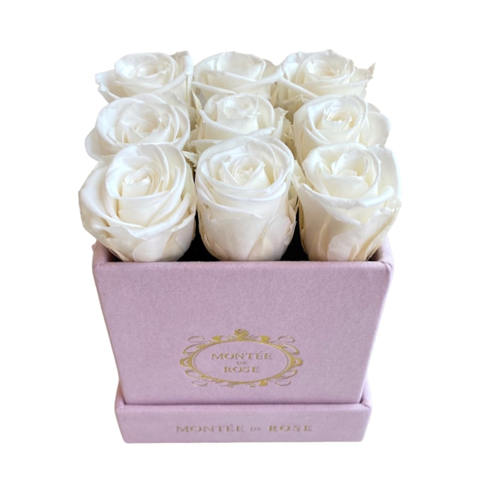 Suede Pink La Petite Everlasting Rose