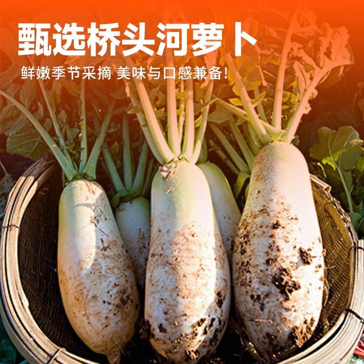 Mountain Radish 400g Can Spicy Crispy Pickled Radish, Side Dish