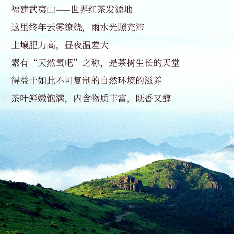 元正 桃源赤甘武夷红茶 蜜桃香气小种红茶 茶叶罐装50g 8