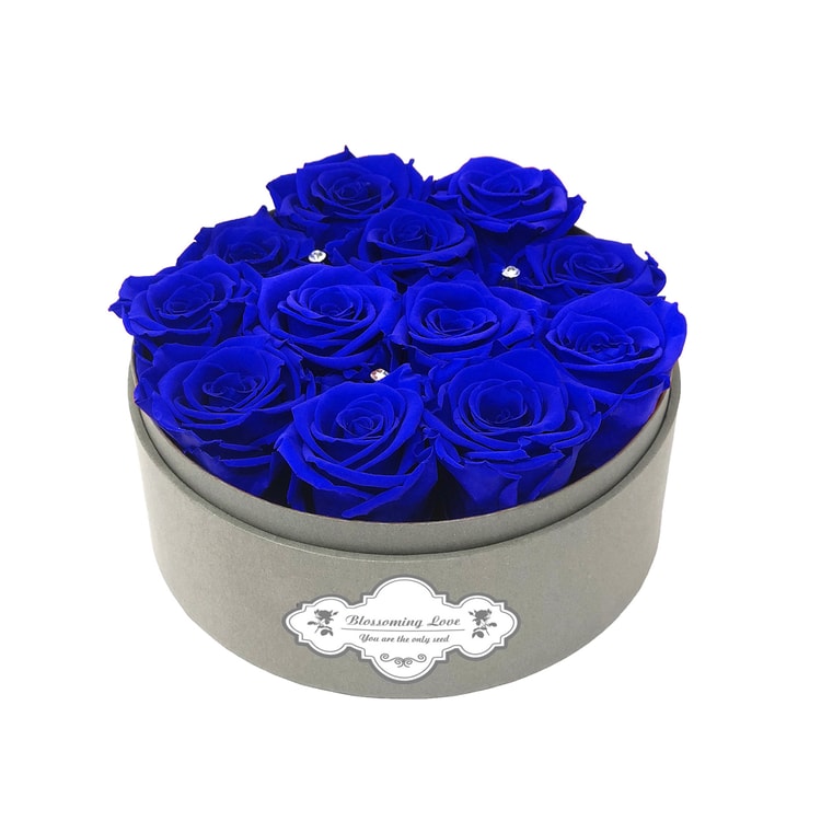 See-through small round box- Royal blue roses - Yami