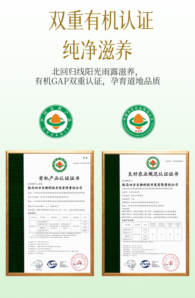 小师姐评茶【美国现货秒发】有机铁皮石斛切片 滋阴润燥 增强体力 可泡茶炖汤 使用便捷 快速溶出营养成分 无需煎煮 日常养生滋补佳品 20克 (2克x10袋)