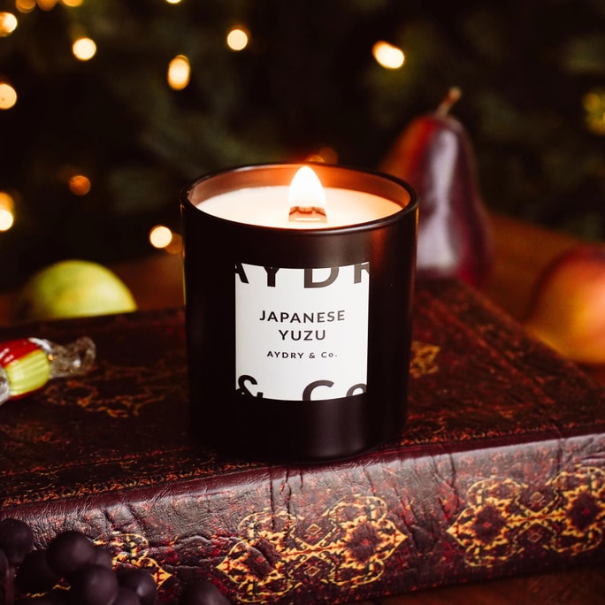 美國AYDRY & CO. 香氛蠟燭臥室家用 高級禮物香氛 7oz 柚子香