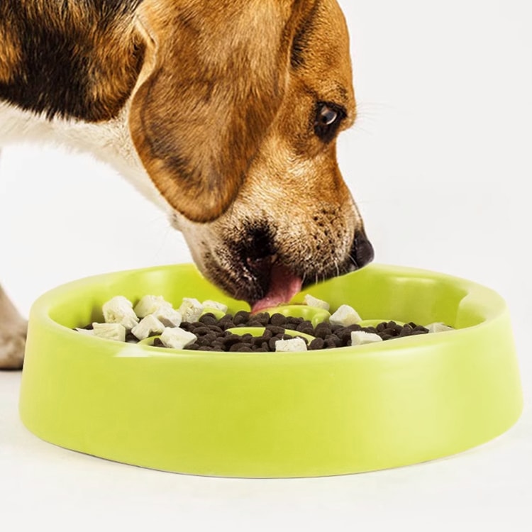 Hiiiget Ceramic Slow Feed Bowl Dog Bowl Cat Bowl 10*10*4 - Yami.com