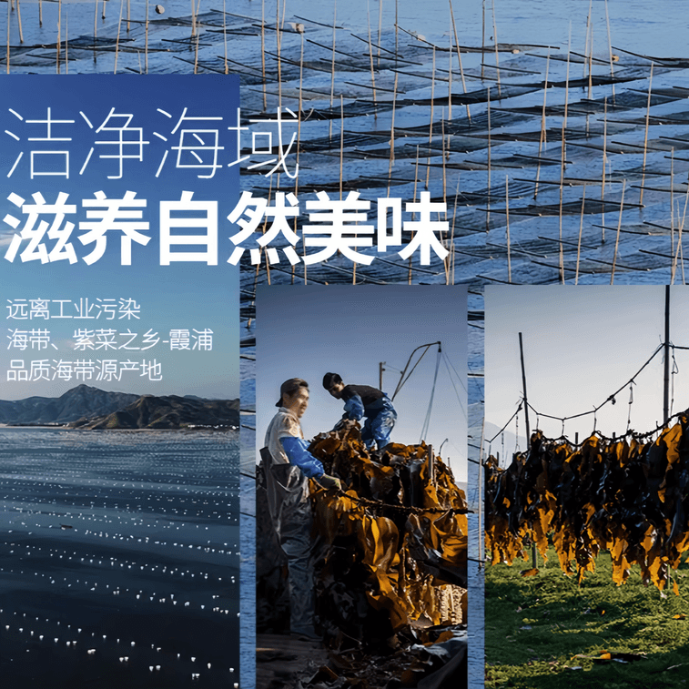 【中国直邮】   金海林 竖切海带丝干货霞浦日晒凉拌非盐渍 100g*2袋 3