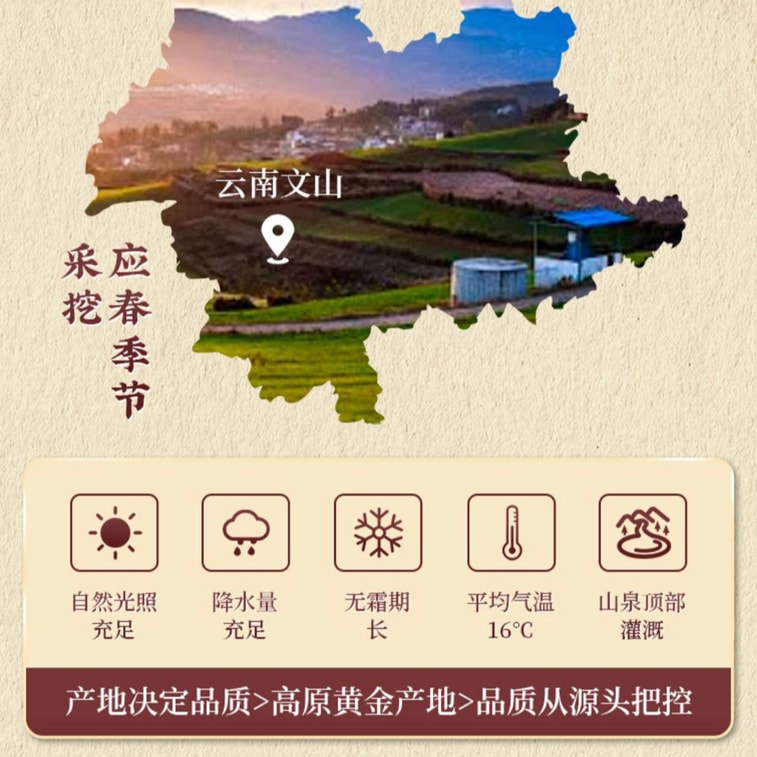 Sanqi Powder Promotes Blood Circulation and Dispels Blood Stasis Herbal Supplement for Wellness 55g 7