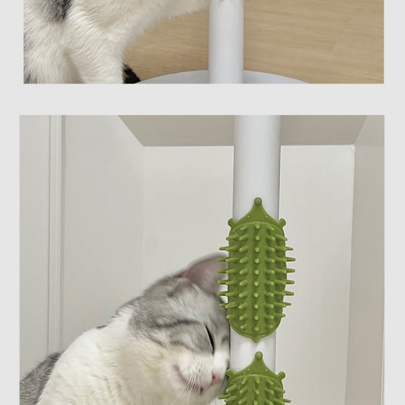 【中国直邮】 宠亮 猫玩具猫咪蹭痒器蹭毛神器猫抓板挠痒痒自嗨玩具解闷宠物用品 两个装 (颜色随机)