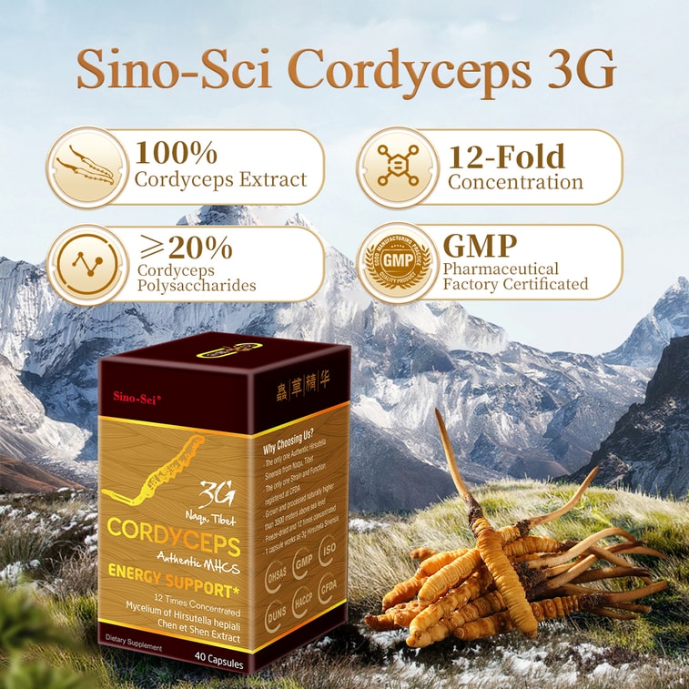 3G Cordyceps Energy Support Immunity Booster 40Counts 4