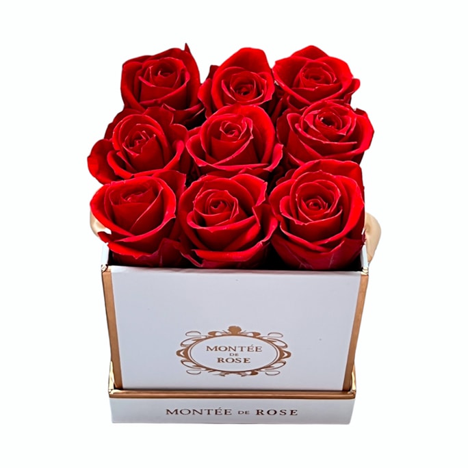 White La Petite Everlasting Rose