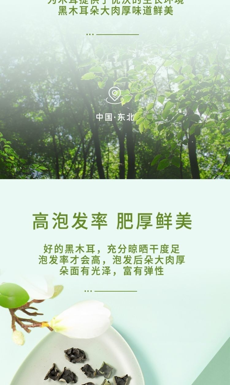  十月稻田 【東北黑木耳】煲湯炒菜易泡發脆嫩爽滑100g*1袋