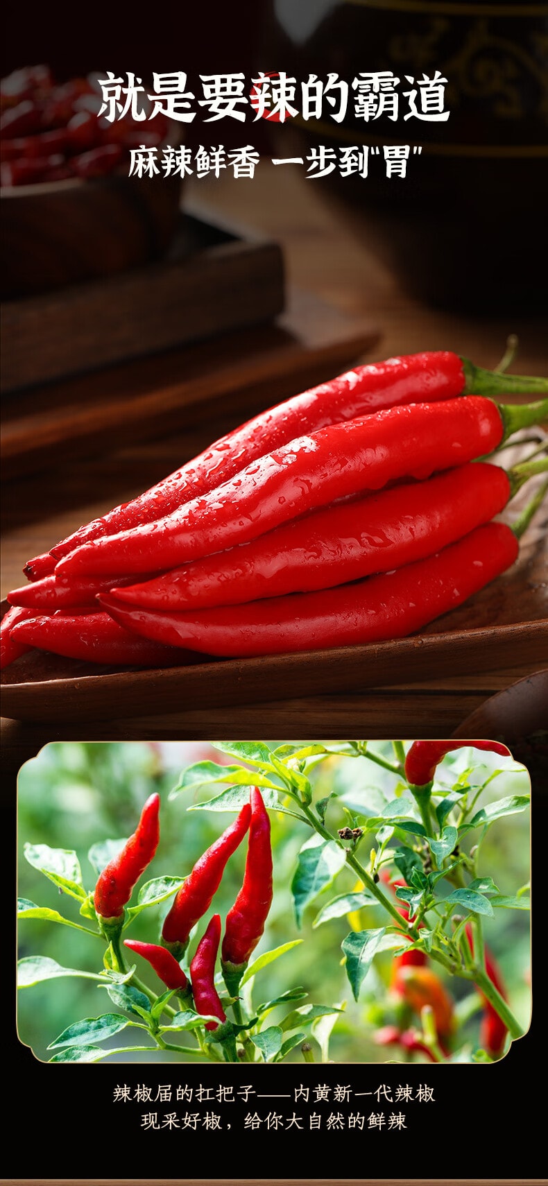 【中国直邮】 臻鲜 重庆小面调料30g*5袋 麻辣拌面酱料麻辣面条方便面调料小包