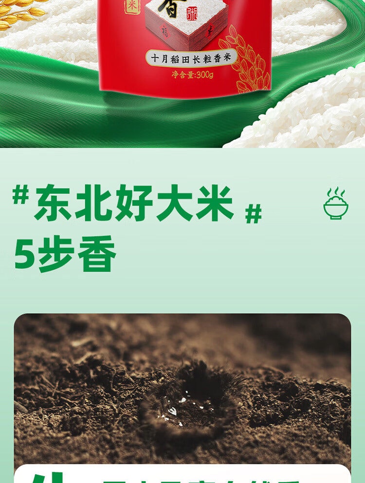 十月稻田 【爆款东北大米】颗粒饱满 清香耐嚼长粒香米(一年一季新米)300g*1袋