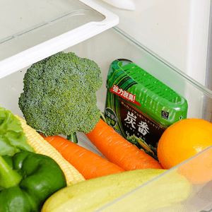 Charcoal Refrigerator Vegetable Use Deodorizer 150g