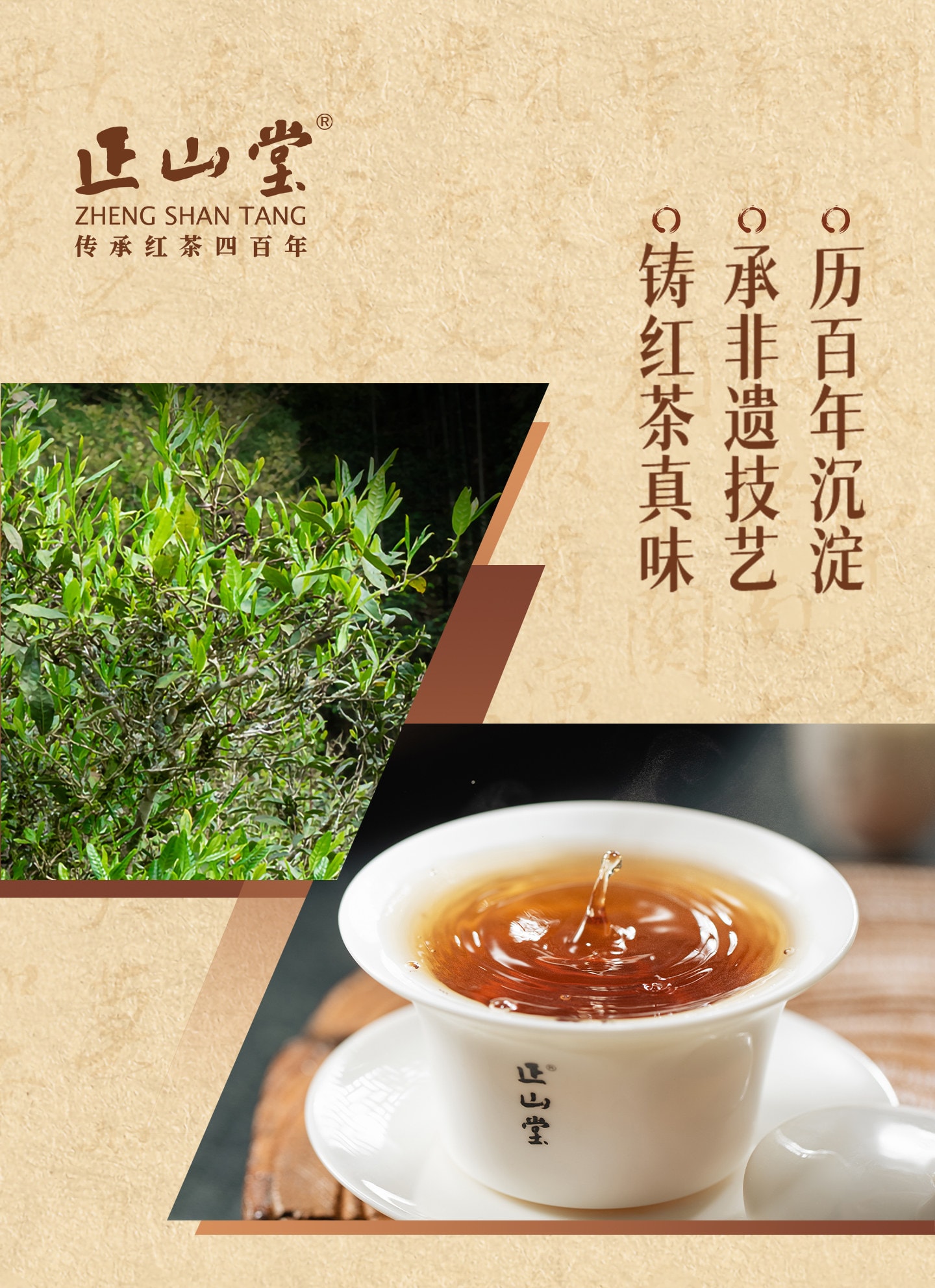 正山堂 特级正山小种红茶 正宗桐木关传统烟熏工艺 罐装50g