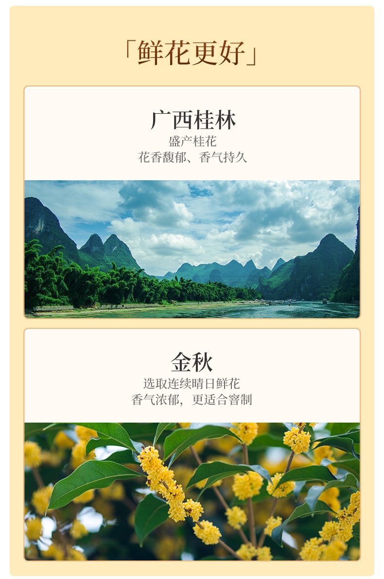 祥源茶 【美国现货秒发】金桂祁红 祁门红茶核心原产地  纯天然无添加 桂花蜜韵 丝滑甘润 美容养颜提神 精品早茶下午茶  100g