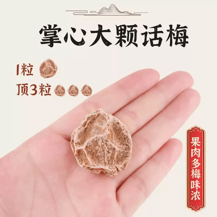 中国直送】農夫山荘 九制話梅 甘酸っぱい干し梅 妊婦 蜜餞 ドライ