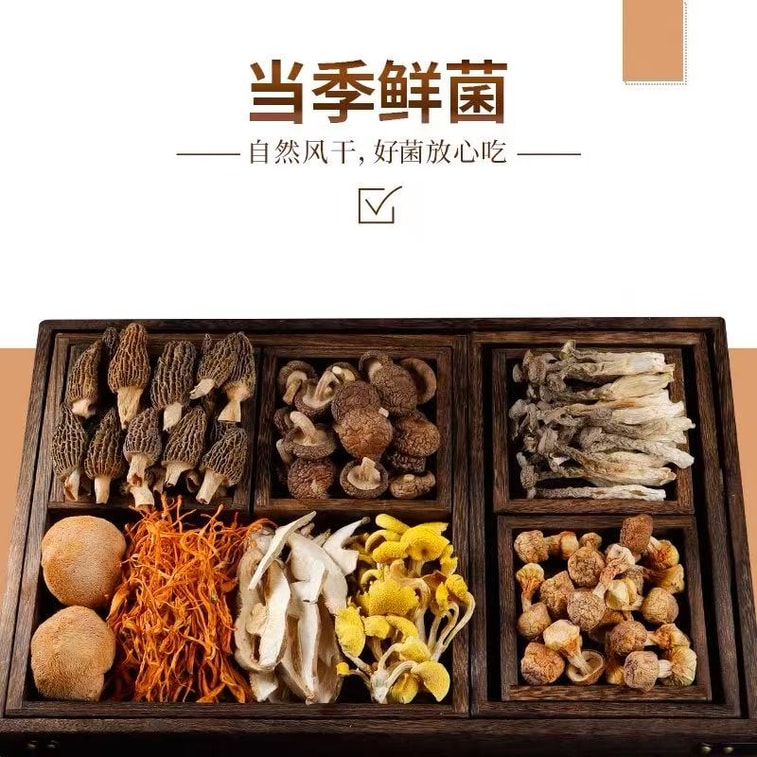전설적인 운남산 야생 버섯 팩, 버섯 수프 팩, 닭고기 스튜에 넣어 영양 가득하고 건강하고 맛있는 한 끼 식사로 제격입니다. 엄선된 곰보버섯, 꾀꼬리버섯, 느타리버섯, 동충하초, 차나무버섯, 송이버섯으로 만들었습니다. [맛과 영양을 한 번에] 100g 1봉 5