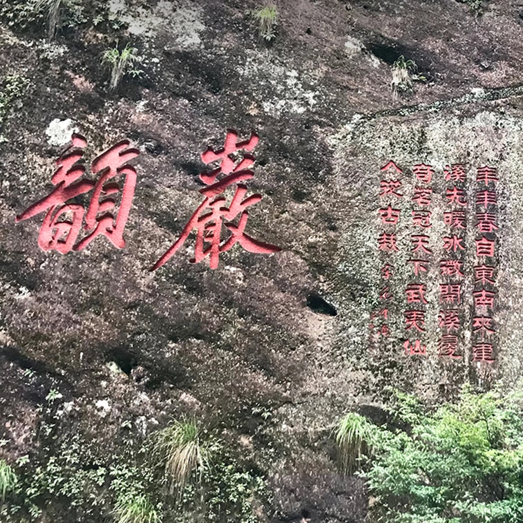 주니어 시스터즈 티 리뷰: 암석과 꽃향기가 어우러진 다홍파오차, 주커산, 우이산 핵심 생산지, 전통 수제 흔들기 우롱차, 풍부한 향과 오래 지속되는 암석 특유의 풍미, 28g (7g x 4) 6