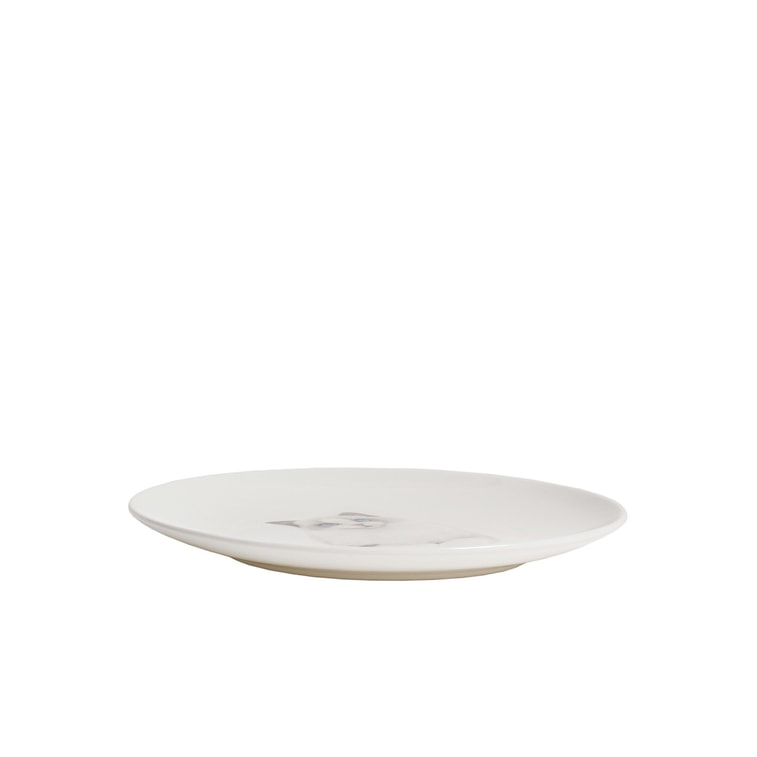  Pet Portrait Porcelain Middle Print 6” Plate - Ragdoll 5