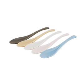 Antibacterial Spoon Color Set 5ps 