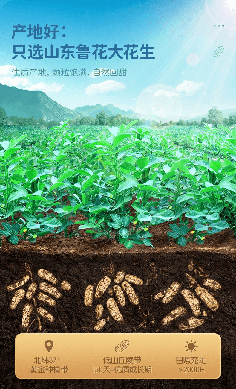 【中國直郵】 洽詢 椒鹽花生袋裝休閒點心15g*20袋