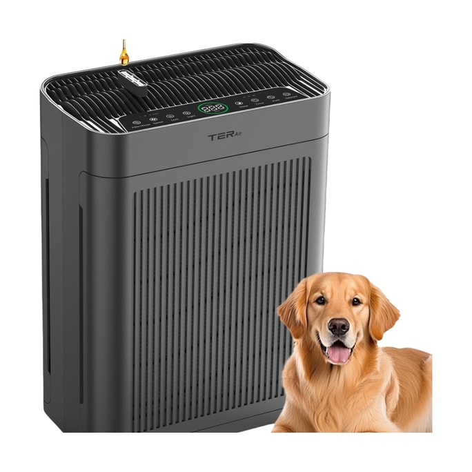 TER 空氣清淨機帶可清洗過濾器(黑色)1台