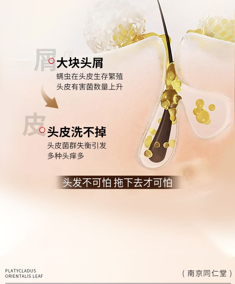 南京同仁堂 側柏葉何首烏植物洗髮水生薑去屑止癢控油防掉脫純草本增密髮 帶走油脂和頭屑,洗完頭皮清爽不癢,髮絲蓬鬆順滑,自帶健康光澤 400ml/瓶