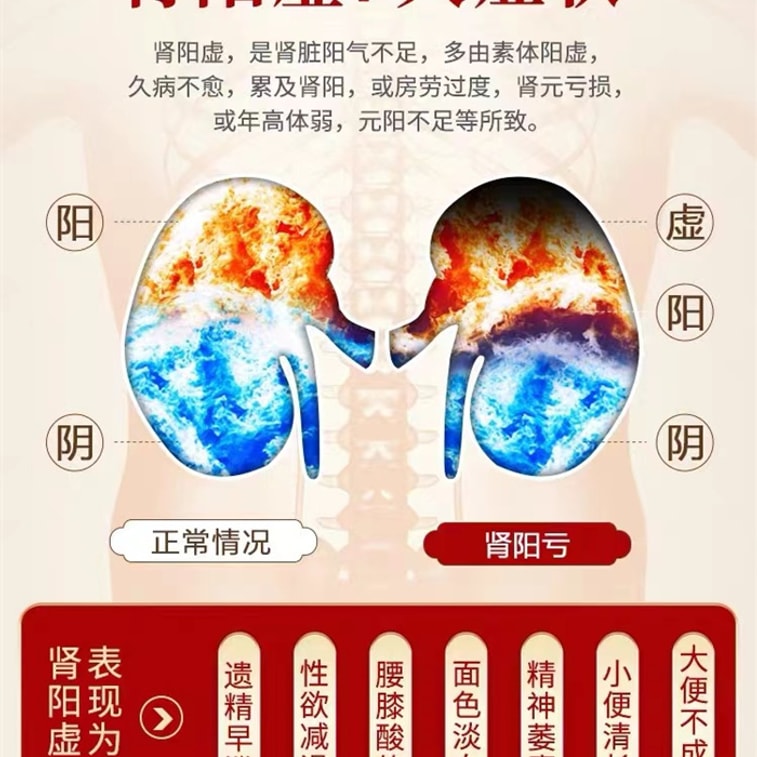 【中国直邮】恒玉佳  脾肾两助丸双补脾肾阳虚搭五子衍宗子丸补肾脾虚调理肝肾同补  9g*6丸(建议拍十盒) 3