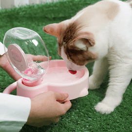 Pink Pig Pet Water Bottle Portable Leakproof Outdoor Travel Drinking Cup