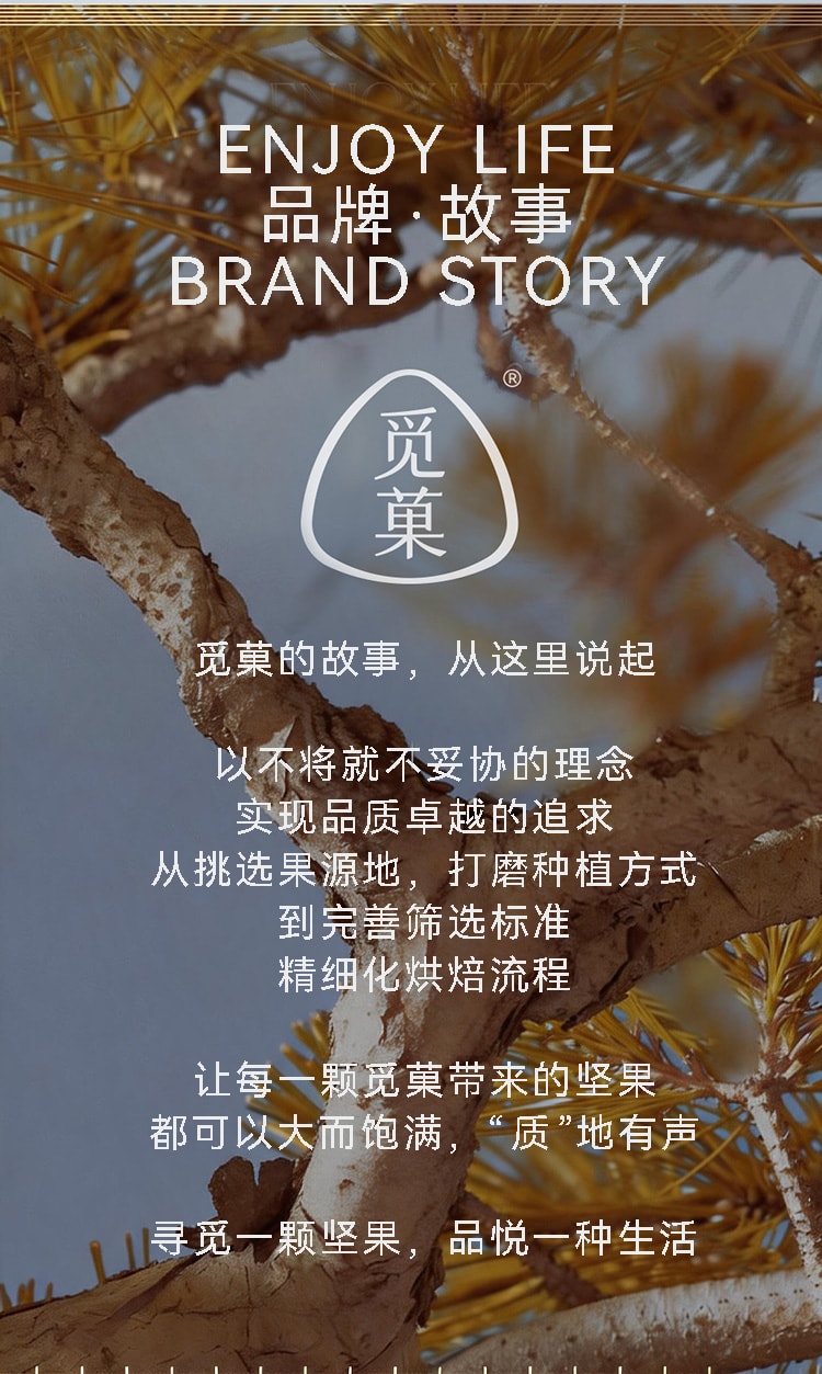 觅菓 富硒鲍鱼果仁巴西坚果当季新货原味补硒大颗粒坚果零食AA+299g