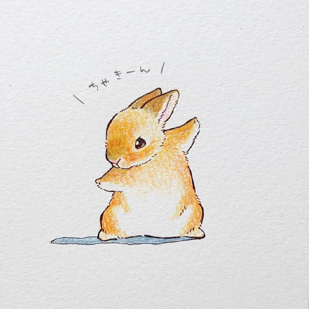 兔子尾巴卡通图图片