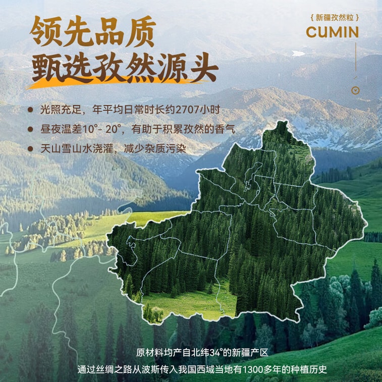 【中国直送】ジデリ クミン粒 40g袋 新疆クミン ラム肉串焼き調味料ディップソース 厳選トレーサビリティシリーズ 3