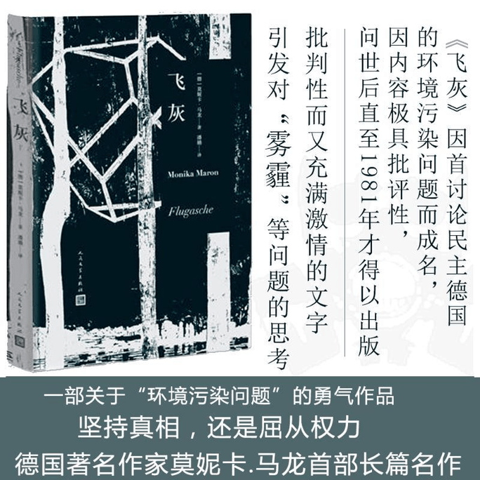 fly ash