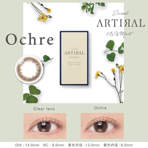 【日本直邮】Artiral UVM 双周抛美瞳 抗UV 6片 Ochre 清丽明亮茶褐色(棕色系）着色直径13.0mm 预定3-5天日本直发 度数 -3.00(300)