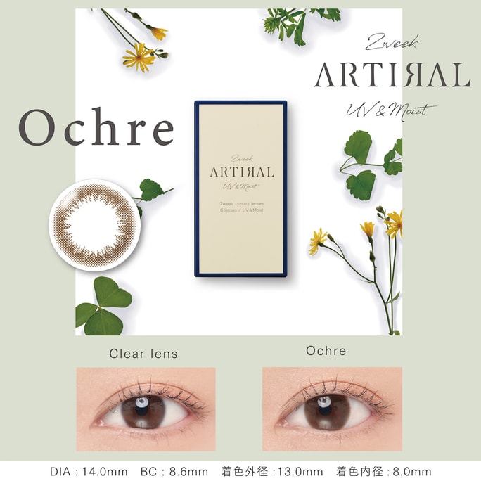 【日本直邮】Artiral UVM 双周抛美瞳 抗UV 6片 Ochre 清丽明亮茶褐色(棕色系）着色直径13.0mm 预定3-5天日本直发 度数 -6.50(650)