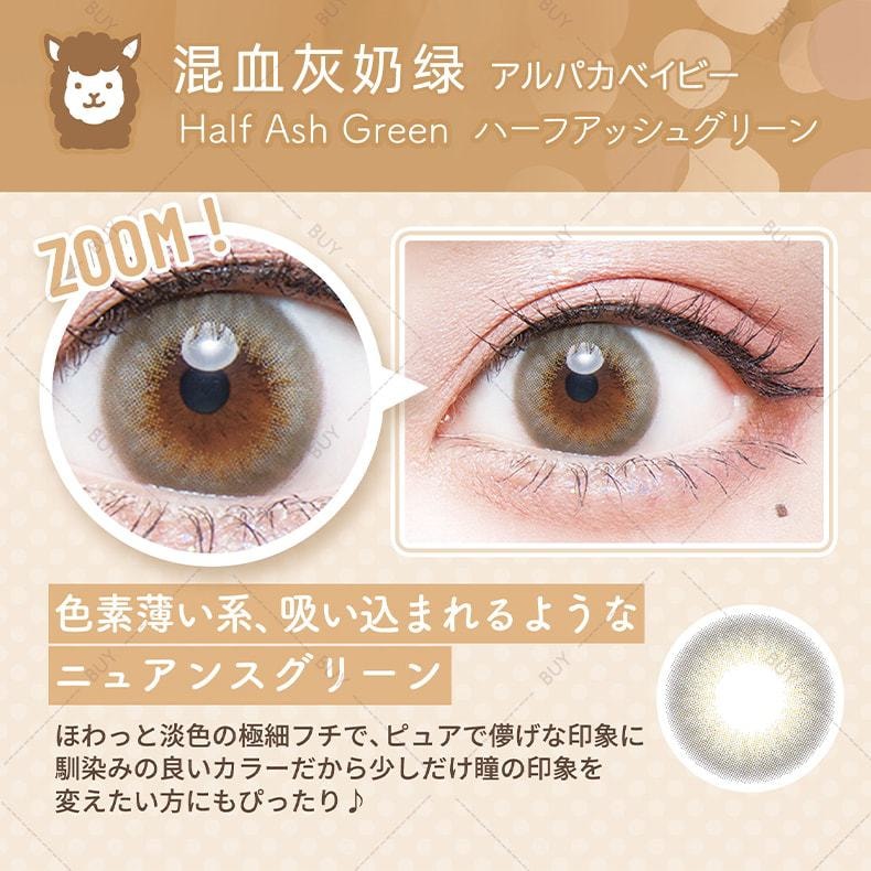 【日本美瞳/日本直郵】Flurry by colors 日拋美瞳 Half Ash Green 混血灰奶綠“灰色系”10片裝 度數-3.25(325)預定3-5天 DIA:14.1mm | BC:8.6mm