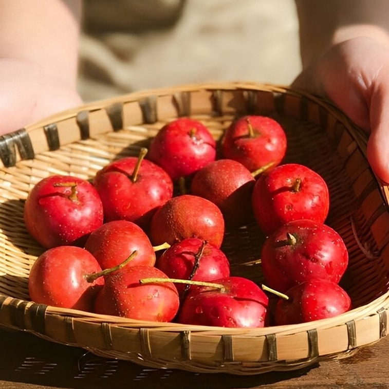 乐普山茶 山楂干片 健胃消食促消化养生茶 罐装80g 3