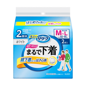 【日本直送】花王 大人用紙おむつ（2枚組） - 消臭・抗菌ケア紙おむつ