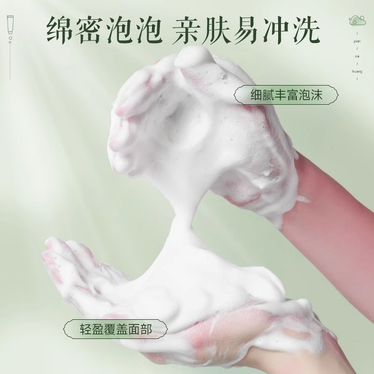 【中国直邮】 片仔癀 清盈净爽洁面乳 温和舒适清洁丰富绵密泡沫洗后不紧绷100g/支 3