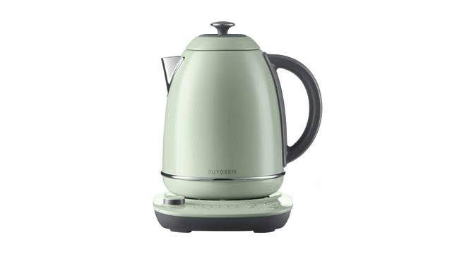 BUYDEEM BUYDEEM Temperature-Controlled Electric Kettle, Elegant
