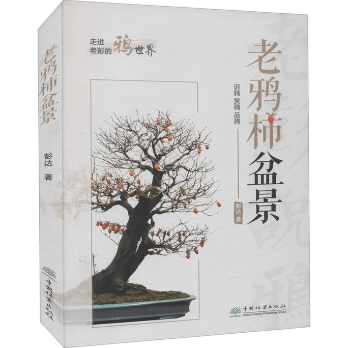 【中國直郵】老鴉柿盆景