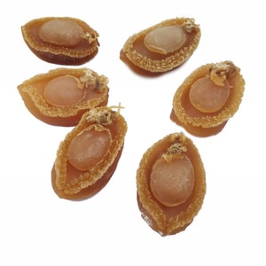  Sun Dried Haliotis Australia AAAA Grade#70 227g