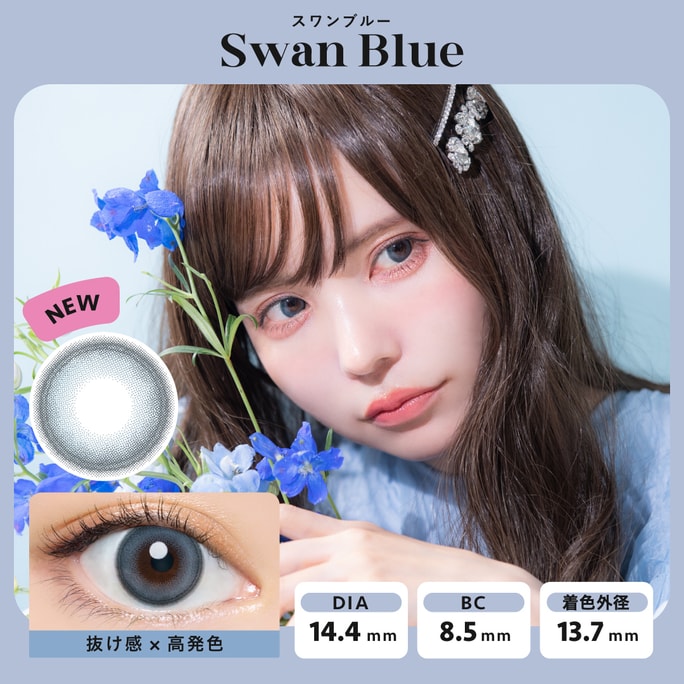 【日本からの直送】エンジェルカラー バンビ 1日使い捨てコンタクトレンズ 30枚入り Swan Blue スワンブルー(ブルー系) 着色直径13.7mm 3～5日予定 日本人 ストレートヘア 度あり -5.00(500)